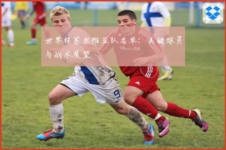 世界杯塞尔维亚队名单:关键球员与战术展望