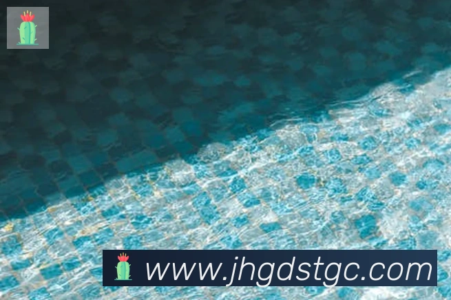 华体会在线官网APP 封面图